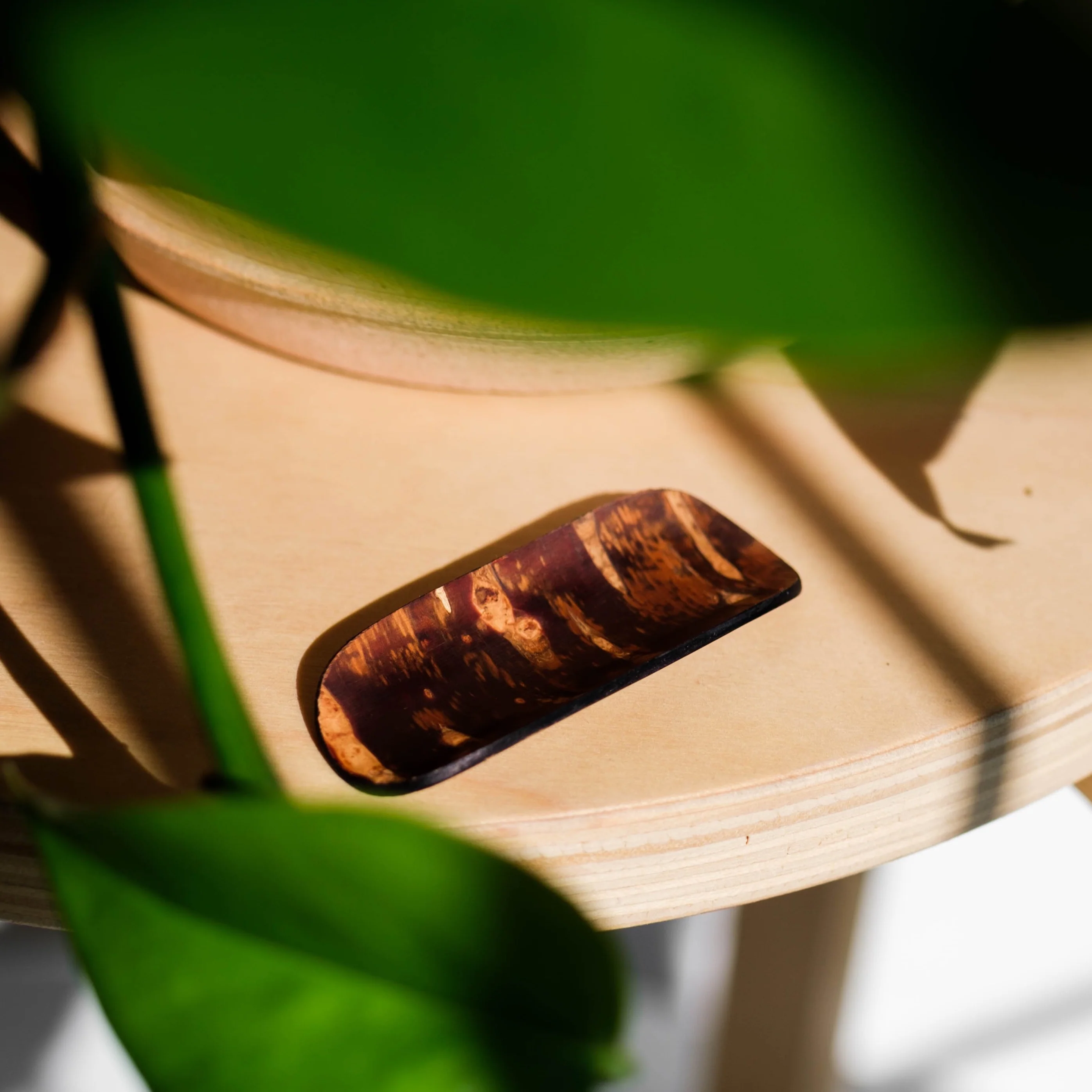 Cherrywood Chasaji - Image 4